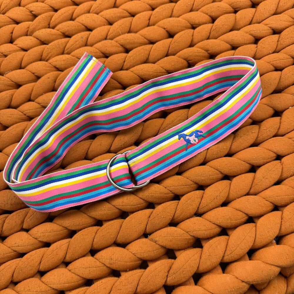 EQ Equestrian Horse Riding Rainbow Stripe Grosgrain Ribbon Belt M Medium Girls